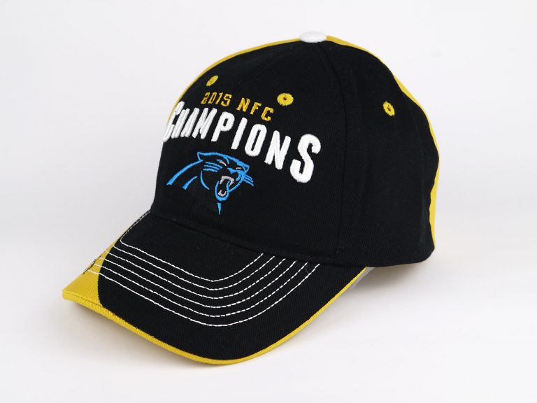 Cap 47 Brand NFL Florida Panthers 2015 NFC Champions